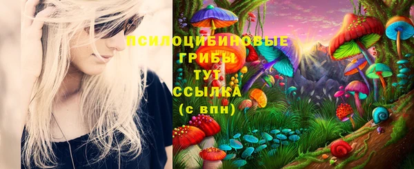 хмурый Богородск