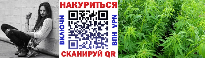 Купить закладки  Канаш  МАРИХУАНА Ganja 